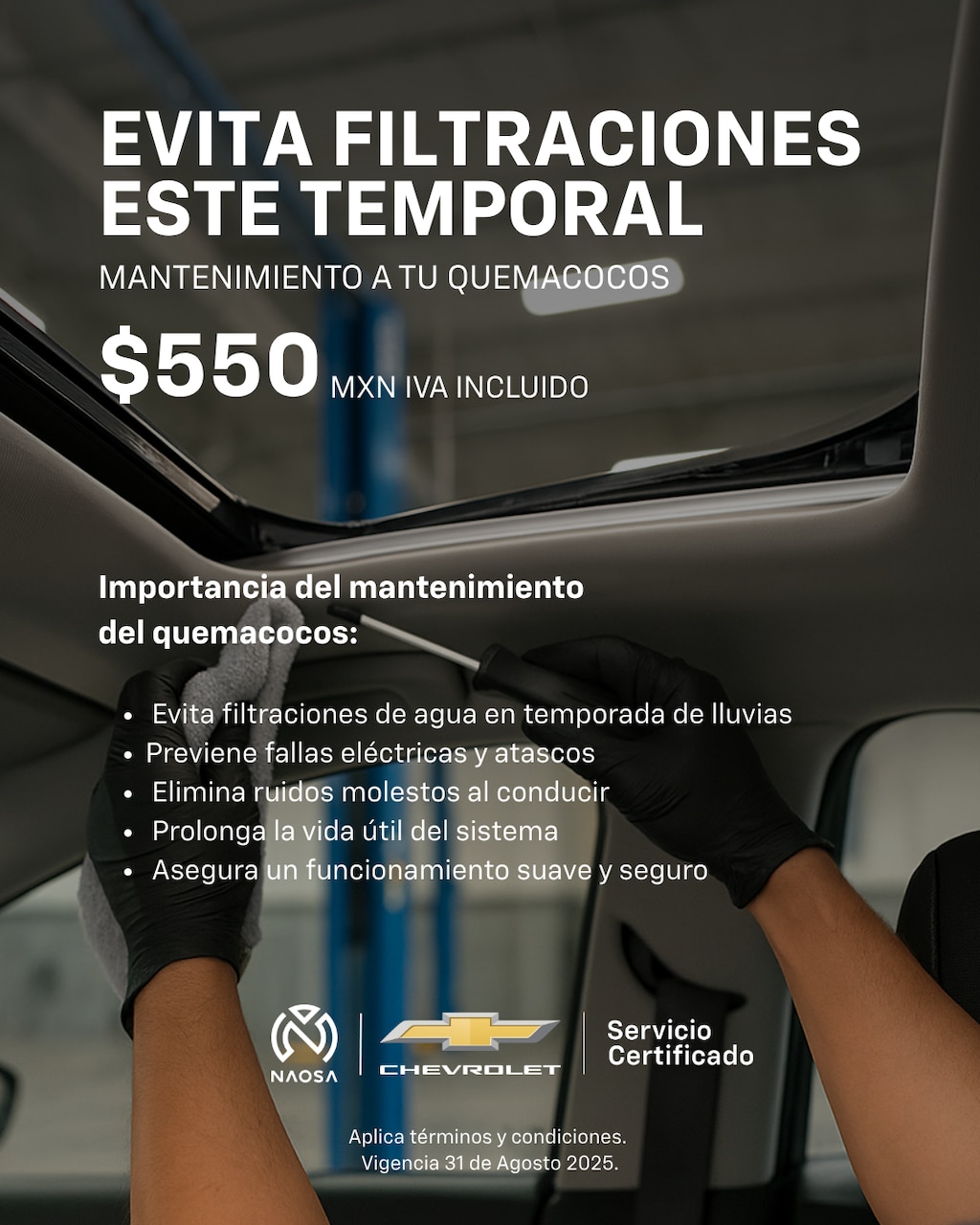 Promociones Servicio Certificado